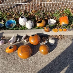 Cuisson Raku